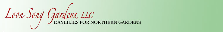 Banner for home page of Loon Song Gardens, LLC. Daylilies for northern gardens.